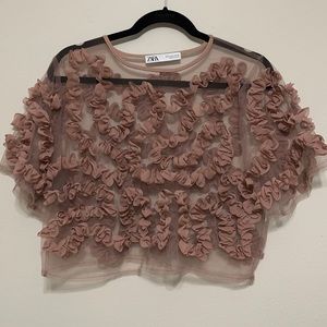 Sheer Mauve Crop Top